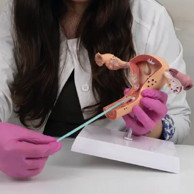 Toma de muestra PCR VPH